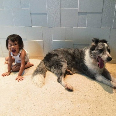 AND SO I WATCH YOU FROM AFAR - ENDLESS SHIMMERING