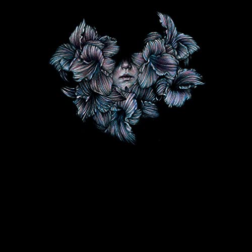 A LOT LIKE BIRDS - A LOT LIKE BIRDS'S DIVISI (CD)