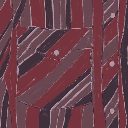 JAKE XERXES FUSSELL & JAMES ELKINGTON - REBUILDING (VINYL)