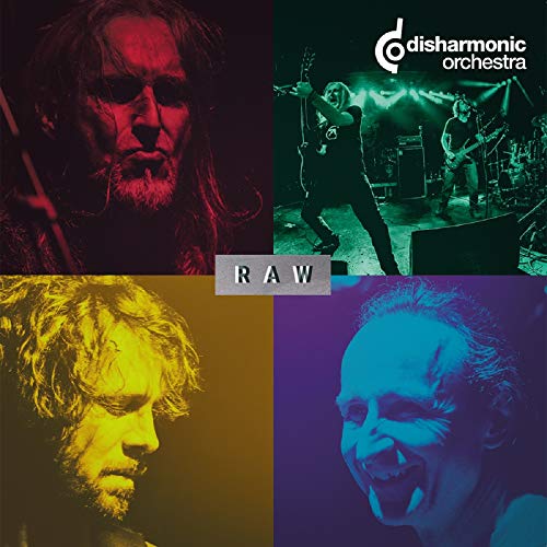 DISHARMONIC ORCHESTRA - RAW (LIVE) (VINYL)
