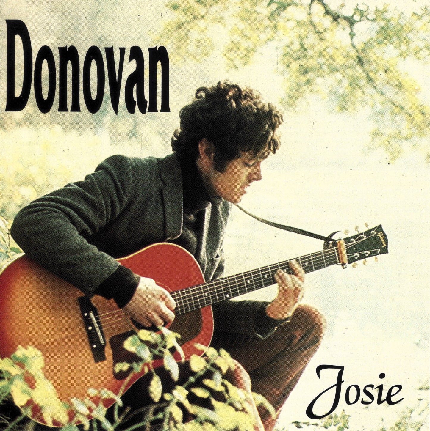 DONOVAN - JOSIE