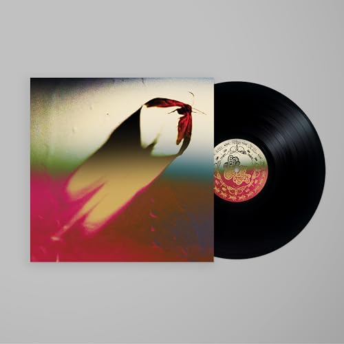 SCOWL - ARE WE ALL ANGELS (VINYL)