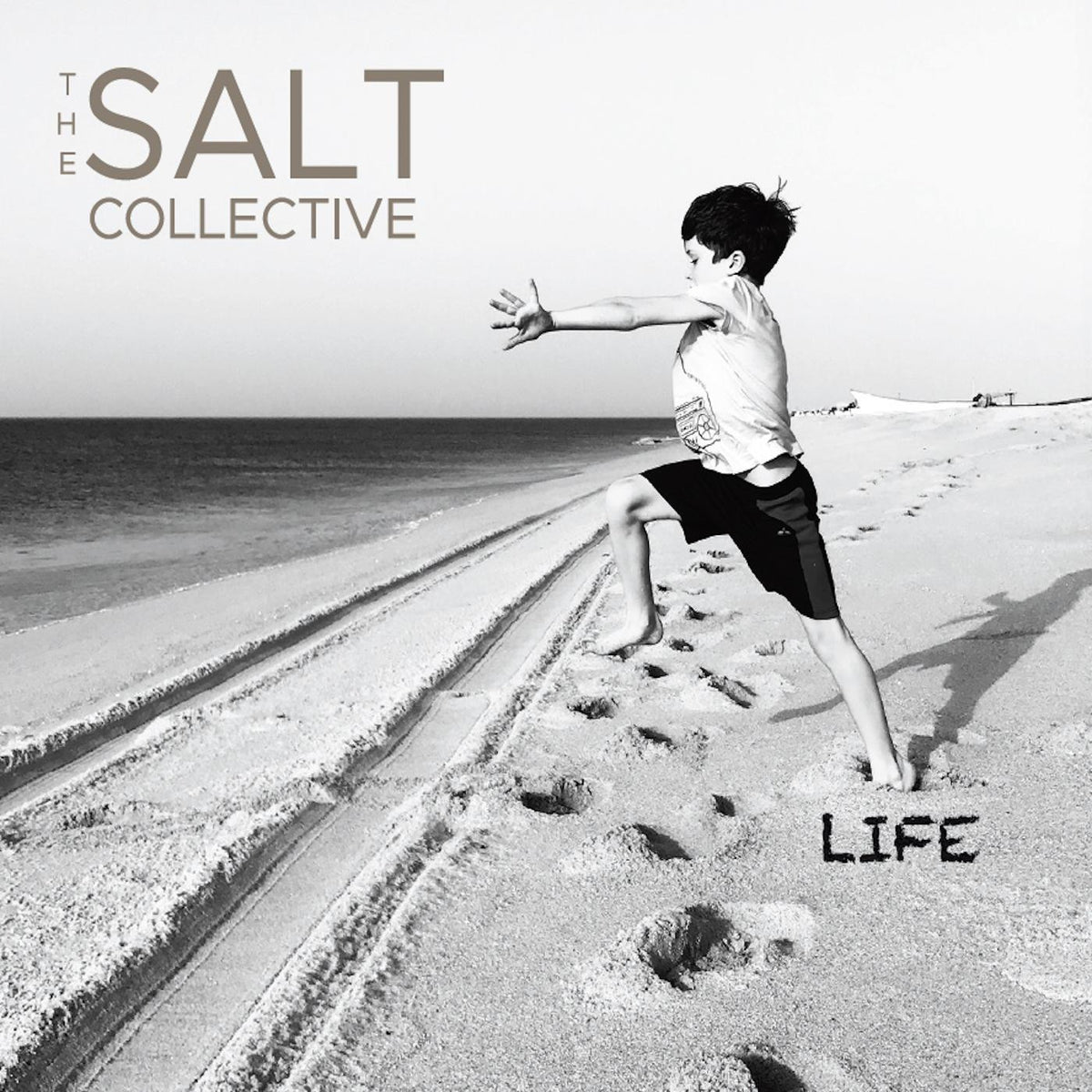 SALT COLLECTIVE, THE - LIFE (VIOLET SWIRL VINYL)