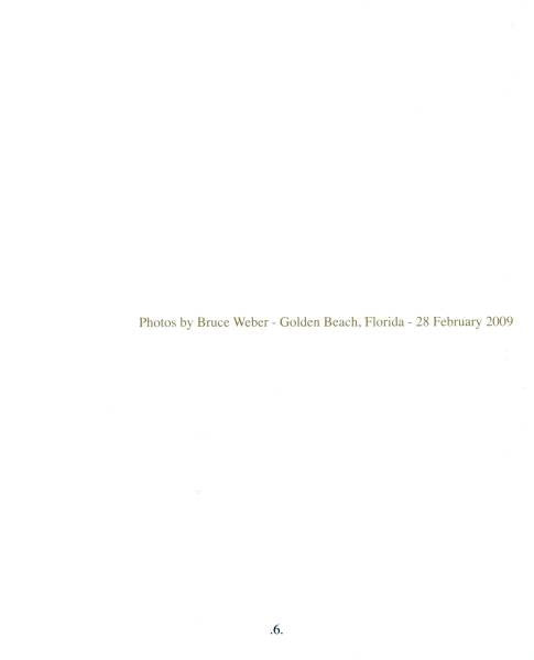 RAMAZZOTTI, EROS - ALAS Y RAICES