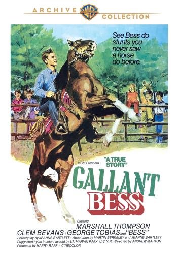GALLANT BESS - DVD-WARNER ARCHIVE COLLECTION