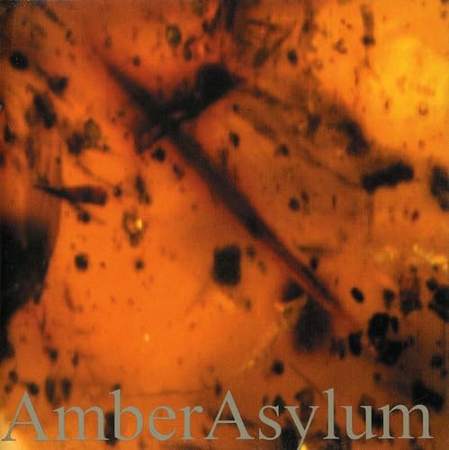AMBER ASYLUM - FROZEN IN AMBER