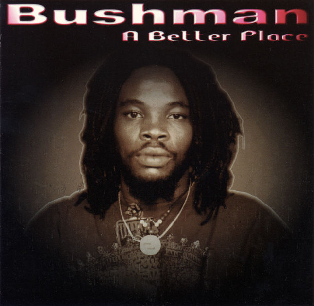 BUSHMAN - A BETTER PLACE