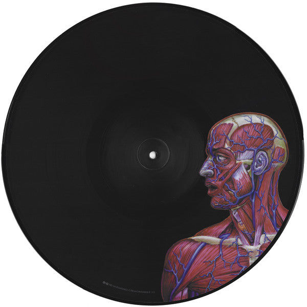 Tool - Lateralus (Picture Disc) (Used LP)