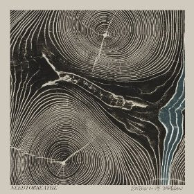 NEEDTOBREATHE - RIVERS IN THE WASTELAND