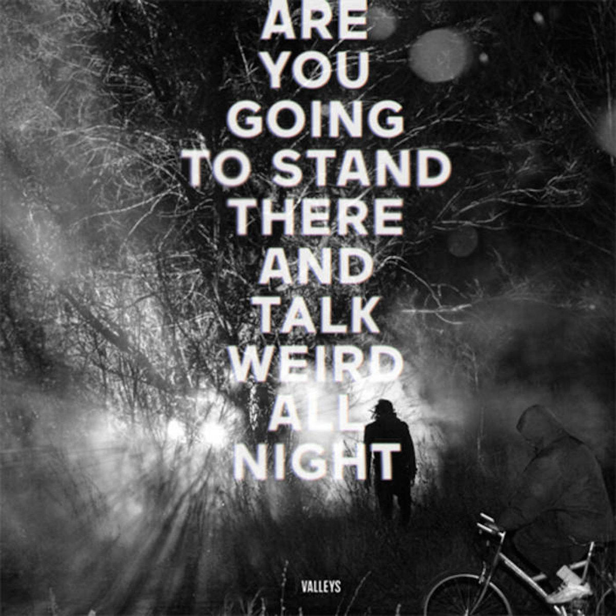 VALLEYS - ARE YOU GOING TO STAND THERE AND TALK WE