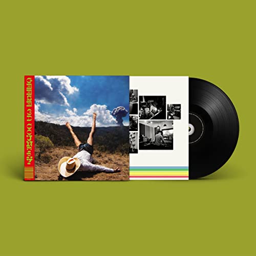 GEESE - 3D COUNTRY (VINYL)