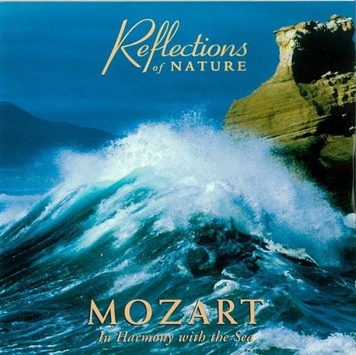 REFLECTIONS OF NATURE - REFLECTIONS OF NATURE