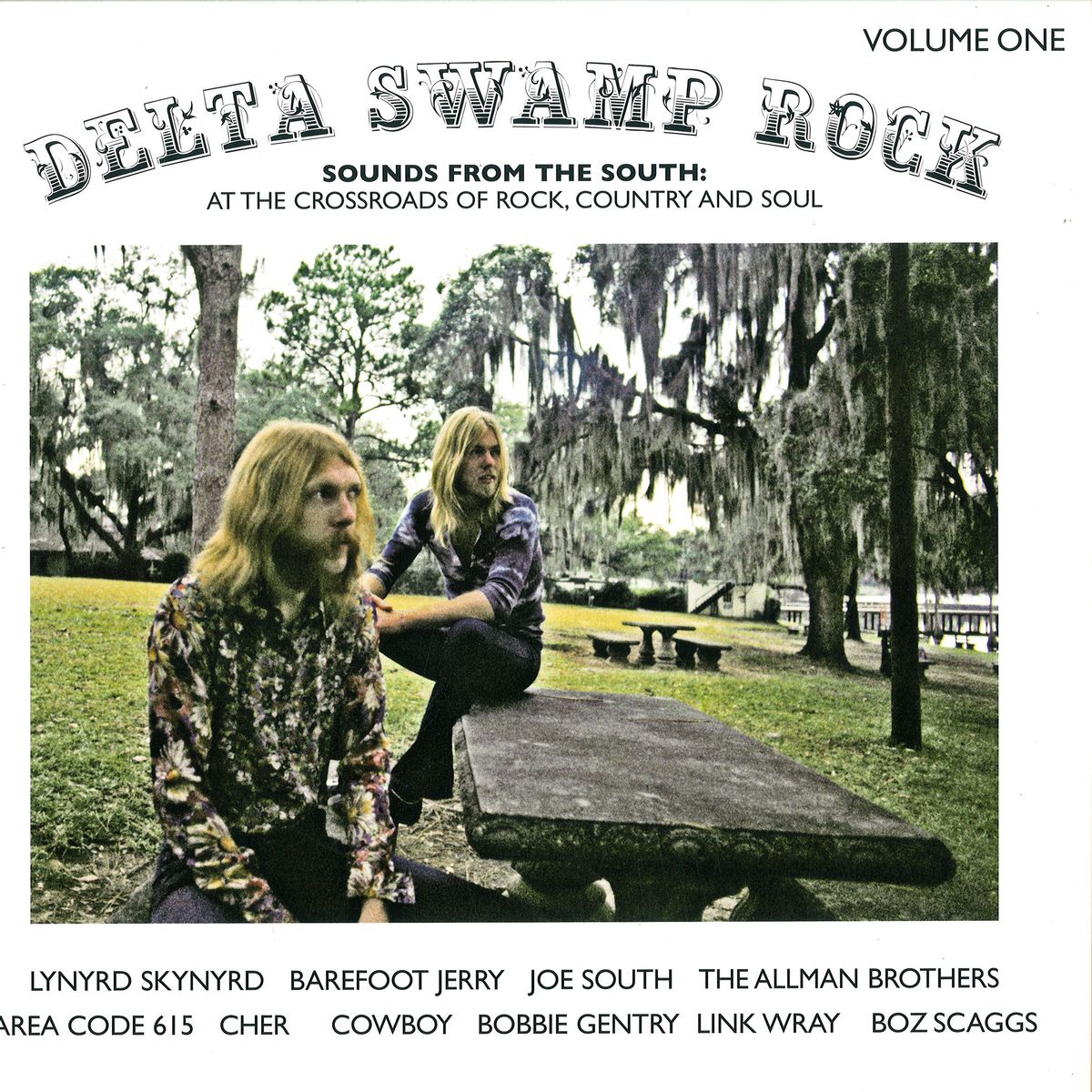 VARIOUS - DELTA SWAMP ROCK