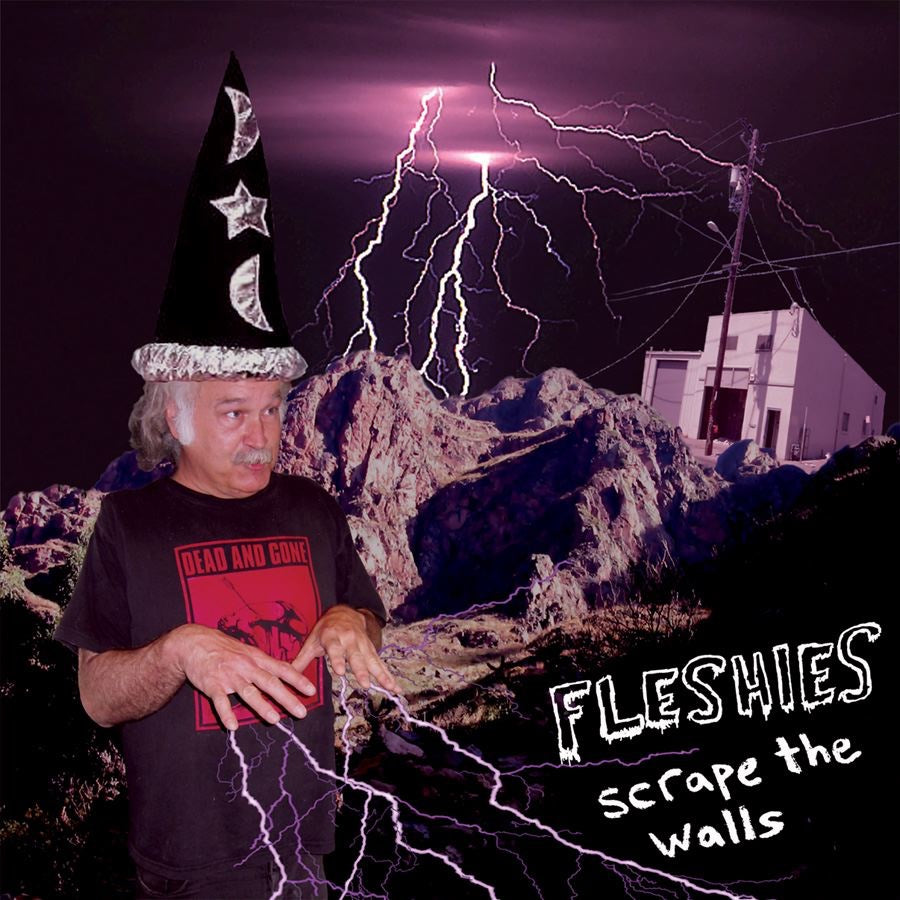 FLESHIES - SCRAPE THE WALLS