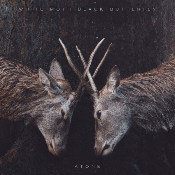 WHITE MOTH BLACK BUTTERFLY - ATONE