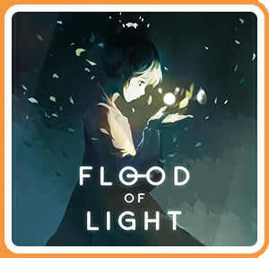 TOWN OF LIGHT - SWITCH