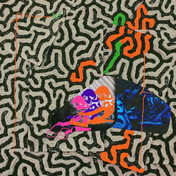 ANIMAL COLLECTIVE - TANGERINE REEF