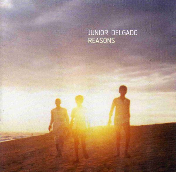 DELGADO, JUNIOR - REASONS