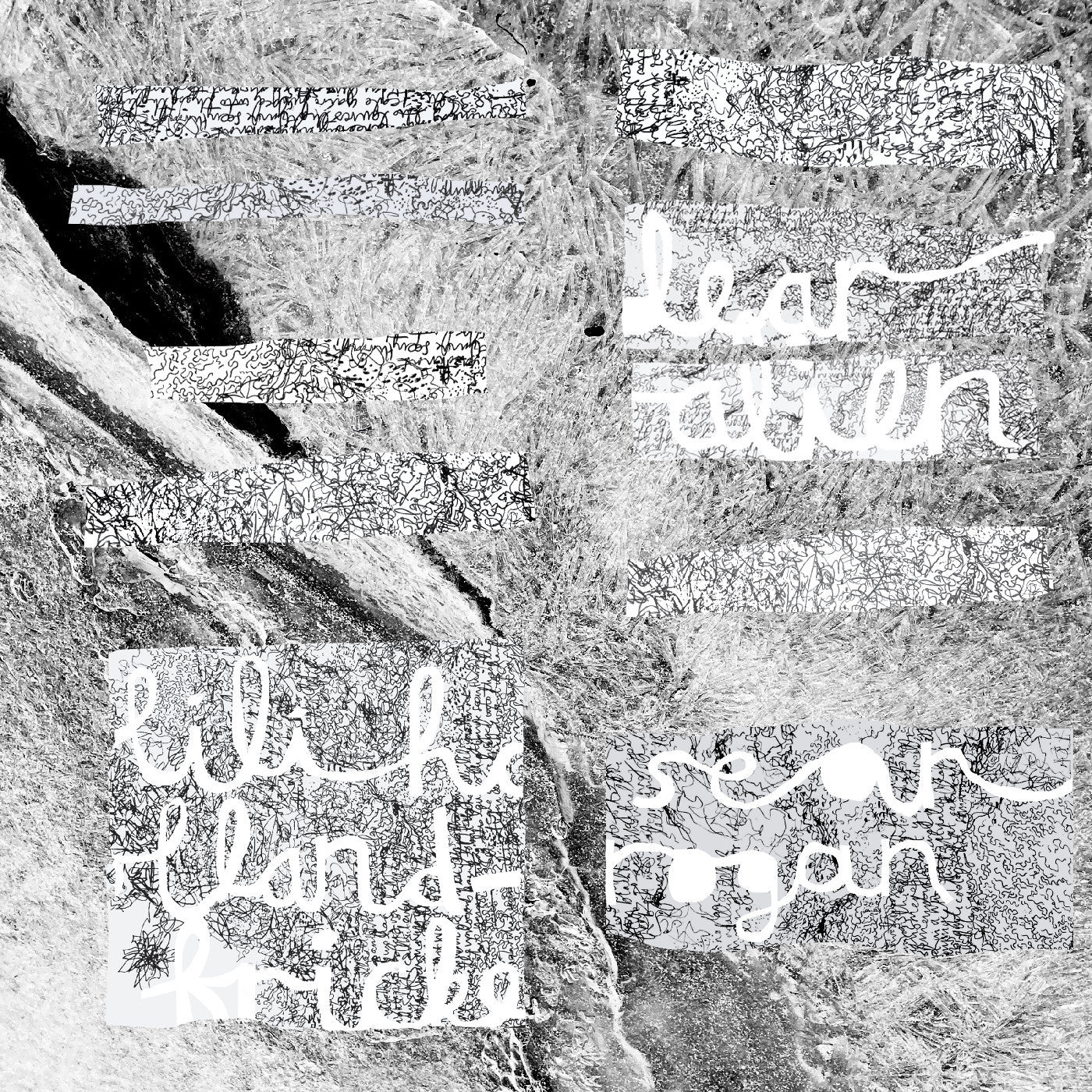 HOLLAND-FRICKE, LILI & SEAN ROGAN - DEAR ALIEN