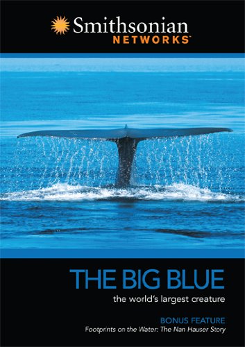 SMITHSONIAN NETWORKS - DVD-BIG BLUE: WORLD'S LONGEST CREATURE