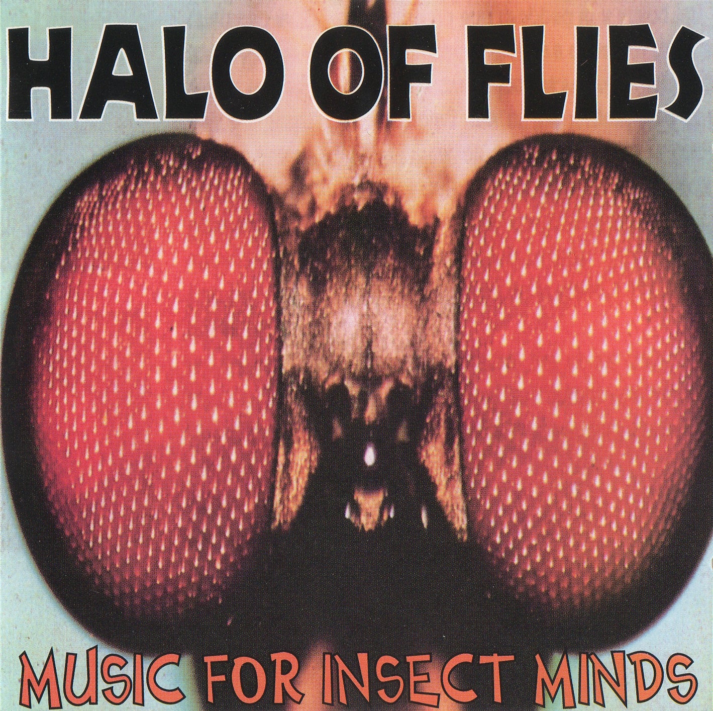 HALO OF FLIES - MUSIC FOR INSECT MINDS