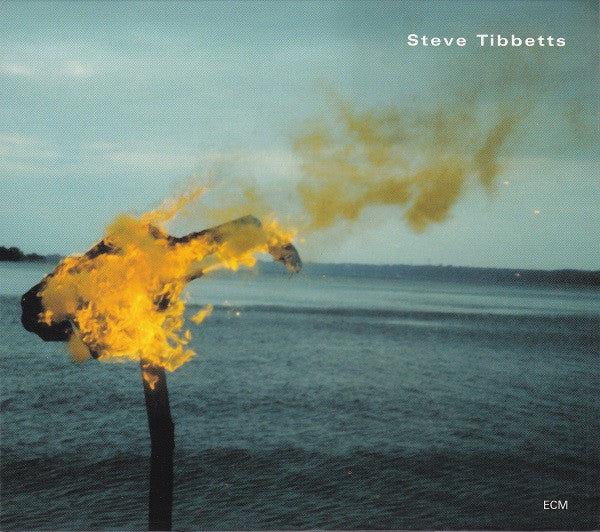 TIBBETTS, STEVE - A MAN ABOUT A HORSE