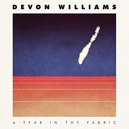 WILLIAMS,DEVON - TEAR IN THE FABRIC (DL CARD) (VINYL)
