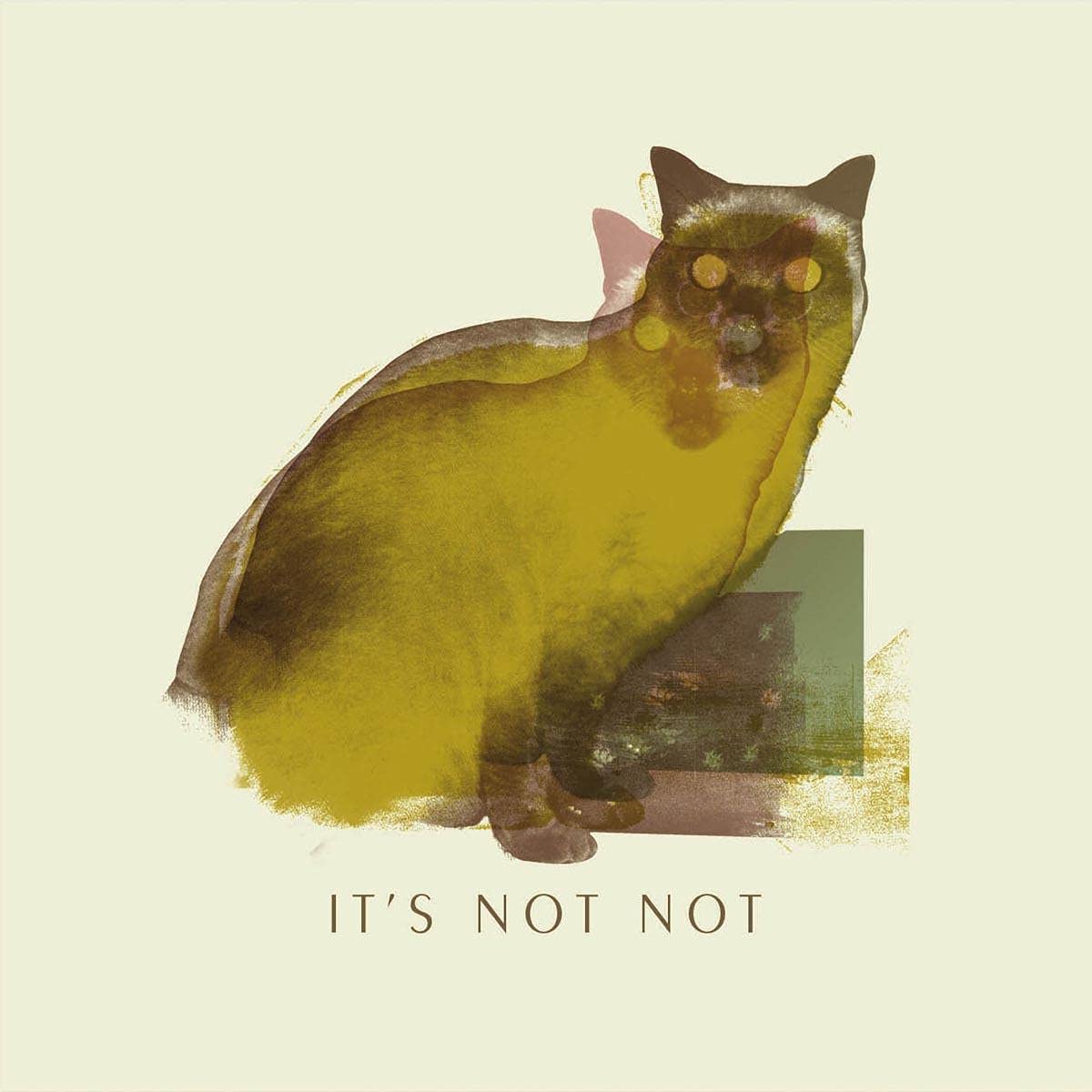 IT'S NOT NOT - BOUND FOR THE SHINE