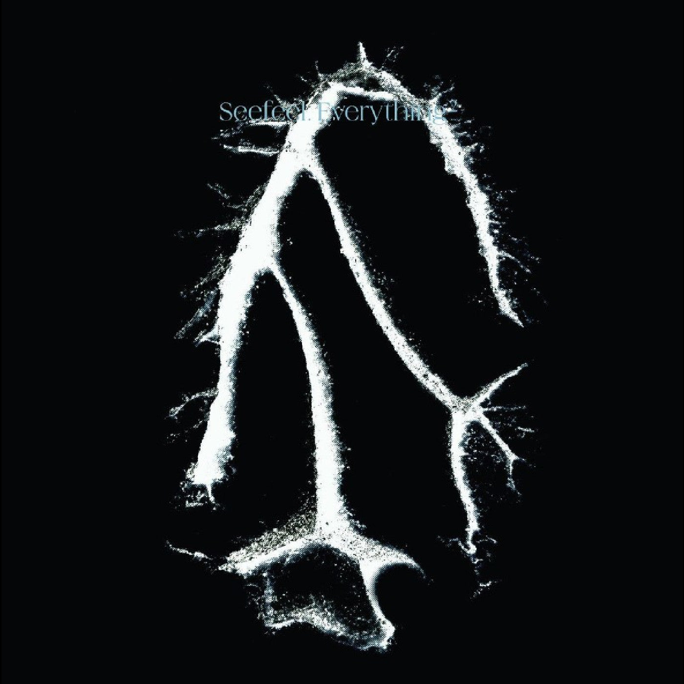 SEEFEEL - EVERYTHING SQUARED