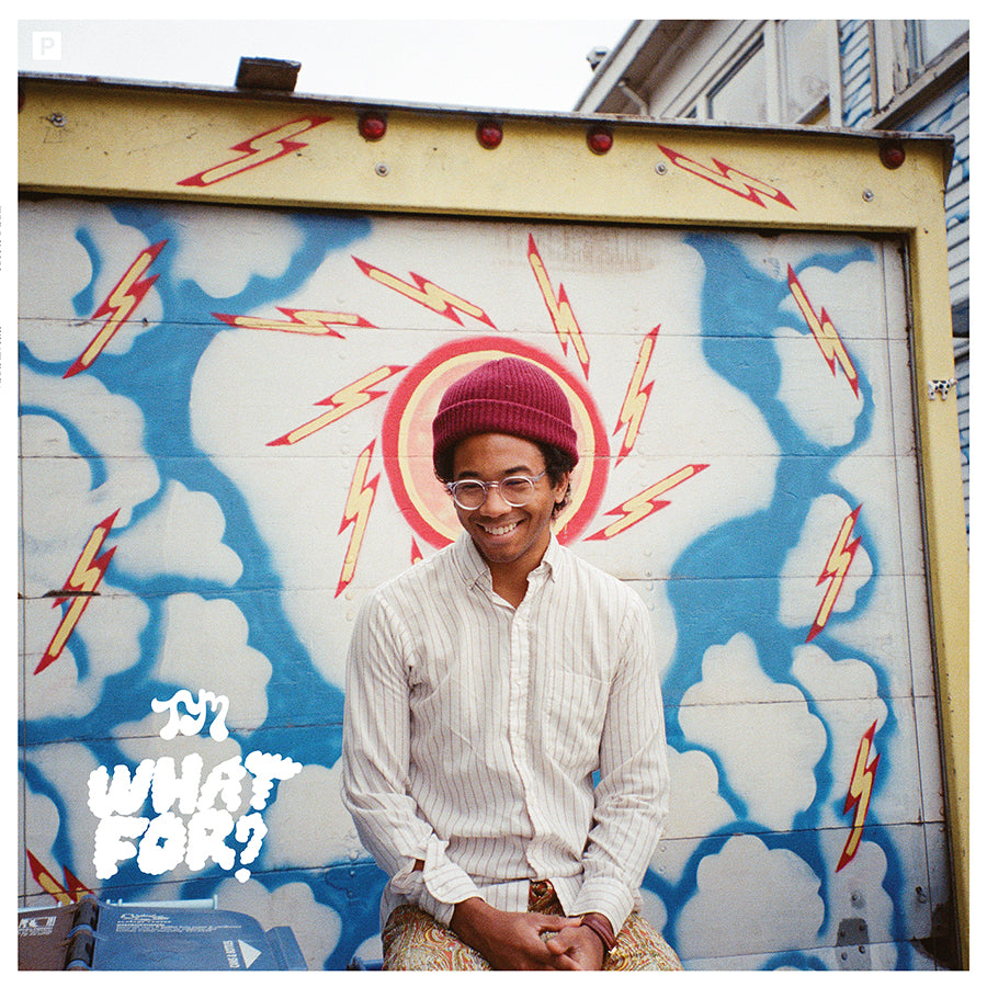 TORO Y MOI - WHAT FOR?