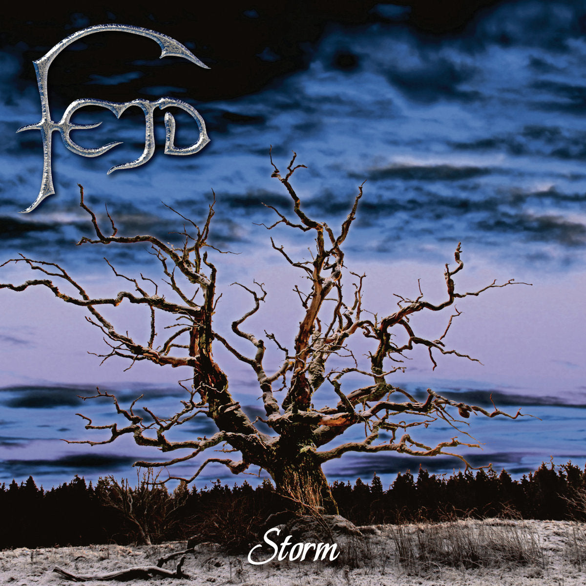 FEJD - STORM