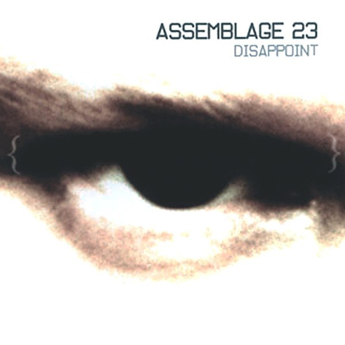 ASSEMBLAGE 23 - DISAPPOINT