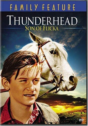 THUNDERHEAD: SON OF FLICKA '45 (BILINGUAL)