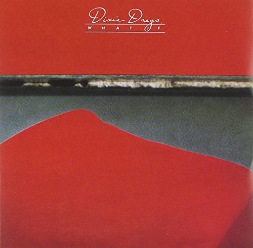 THE DIXIE DREGS - WHAT IF