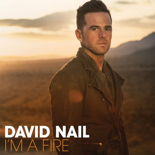 NAIL, DAVID - I'M A FIRE