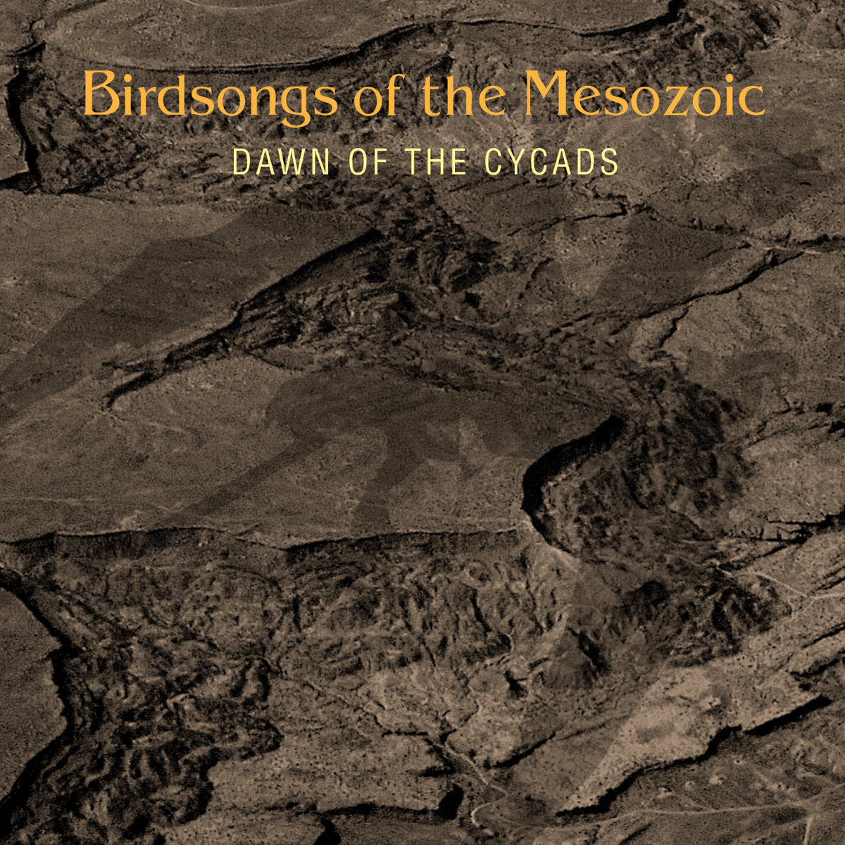 BIRDSONGS OF THE MESOZOIC - DAWN OF THE CYCADS