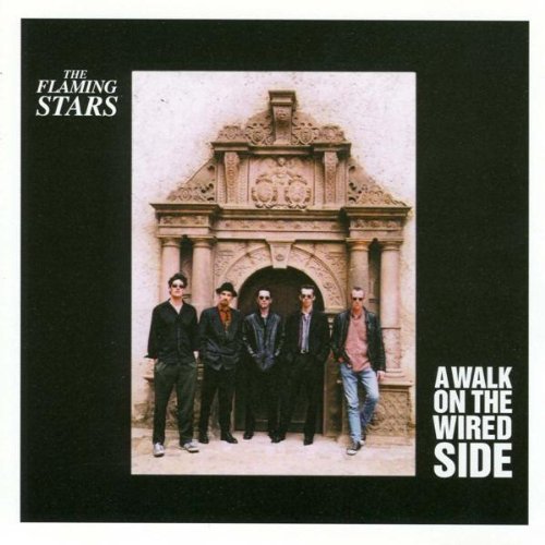FLAMING STARS - A WALK ON THE WIRED SIDE