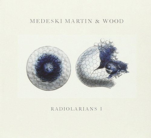MEDESKI, MARTIN & WOOD - RADIOLARIANS I