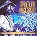 NELSON, WILLIE - CHRISTMAS WITH