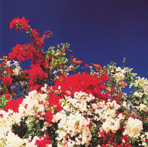 PANOPTICA - TIJUANA REMIXES