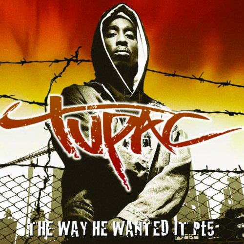 2 PAC - WAY HE WANTED IT V5