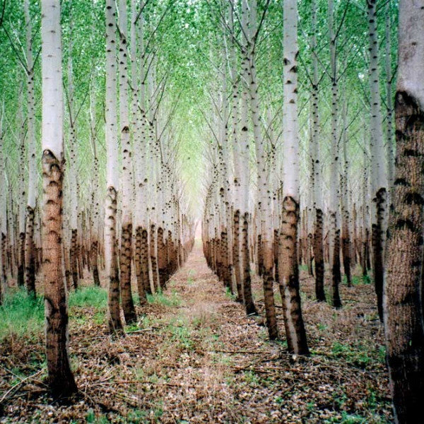 TALKDEMONIC - BEAT ROMANTIC