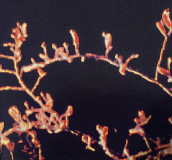 BUKKENE BRUSE - LOVELIEST ROSE