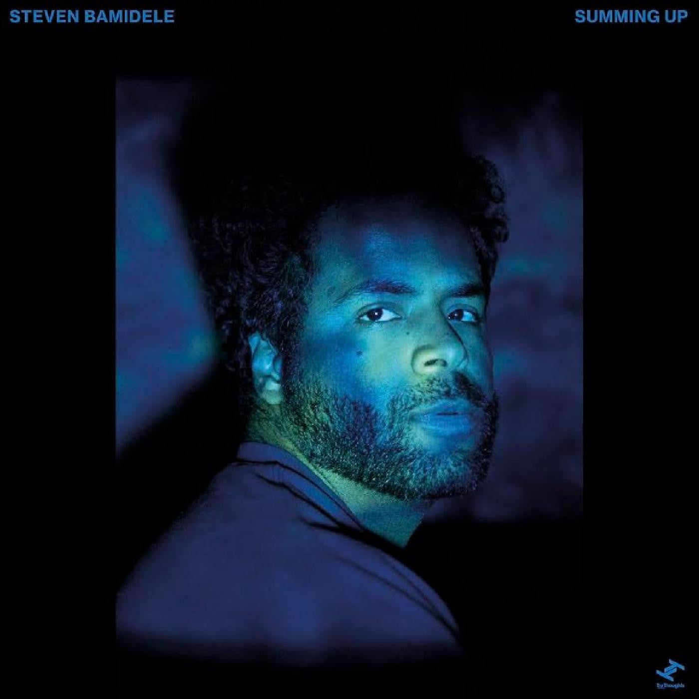 BAMIDELE, STEVEN - SUMMING UP
