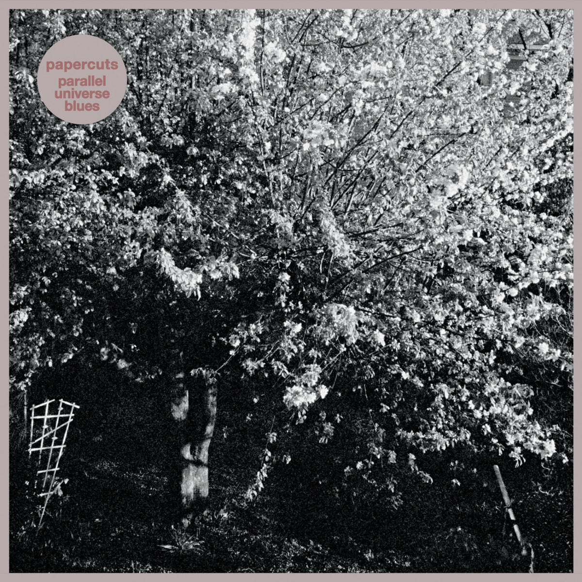 PAPERCUTS - PARALLEL UNIVERSE BLUES