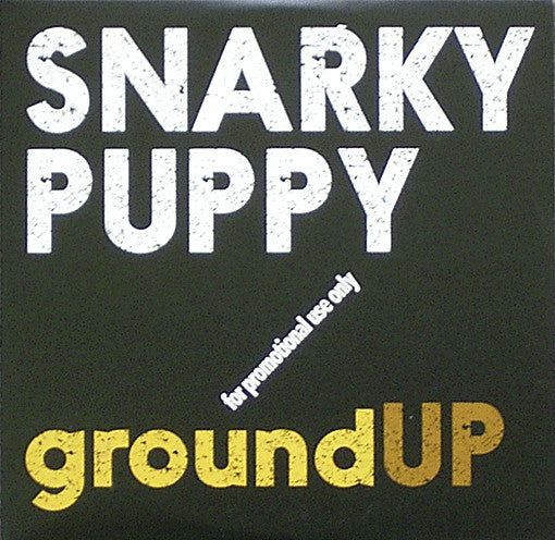 SNARKY PUPPY - GROUND UP