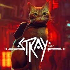 STRAY - XBXSX