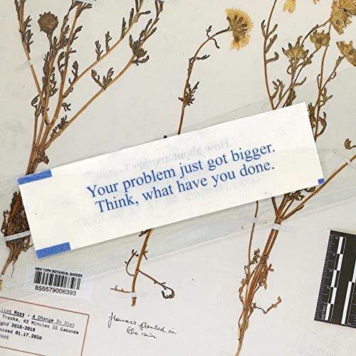 ELLIOT MOSS - A CHANGE IN DIET (CD)