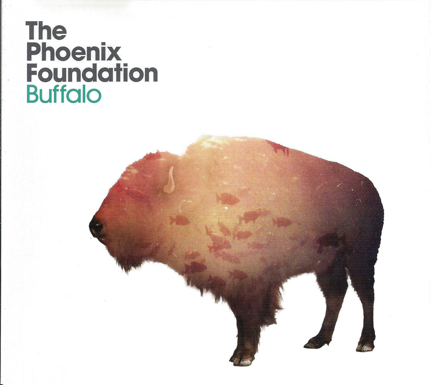 PHOENIX FOUNDATION - BUFFALO
