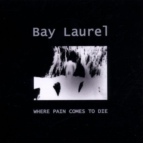 BAY LAUREL - WHERE PAIN COMES TO DIE